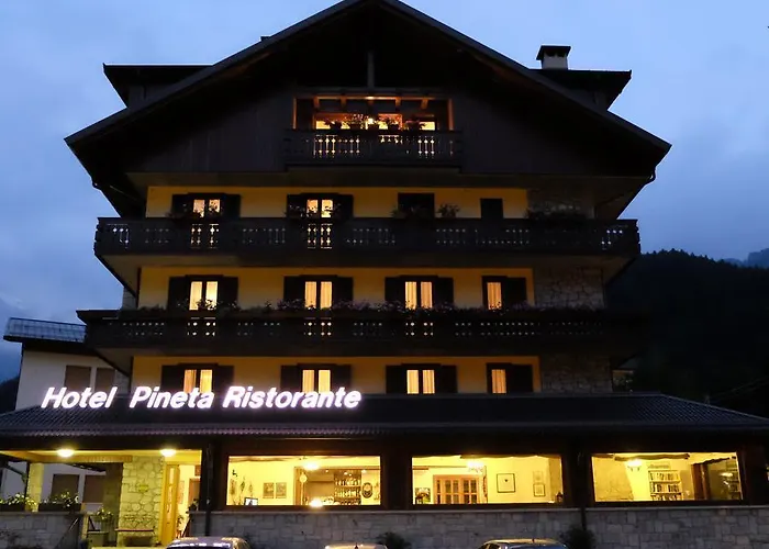 Hotel Pineta